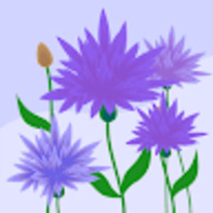 Meet your Posher, Lily